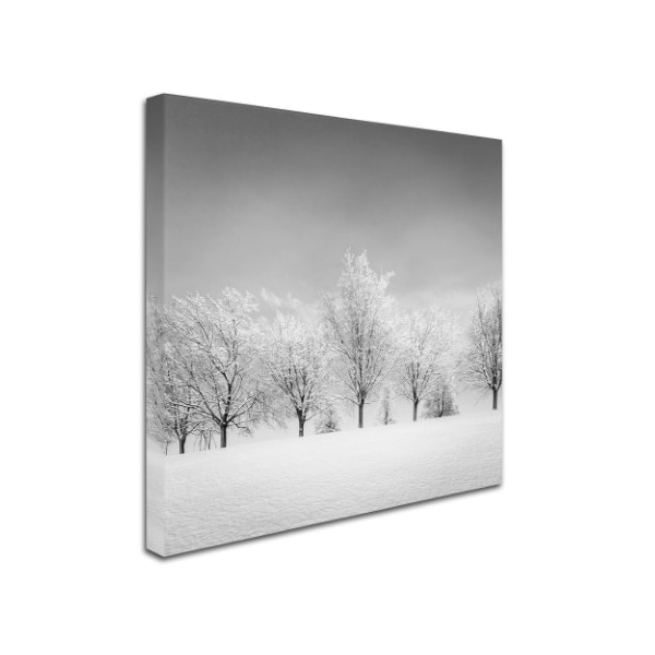 Dave MacVicar 'Ice Storm' Canvas Art,18x18